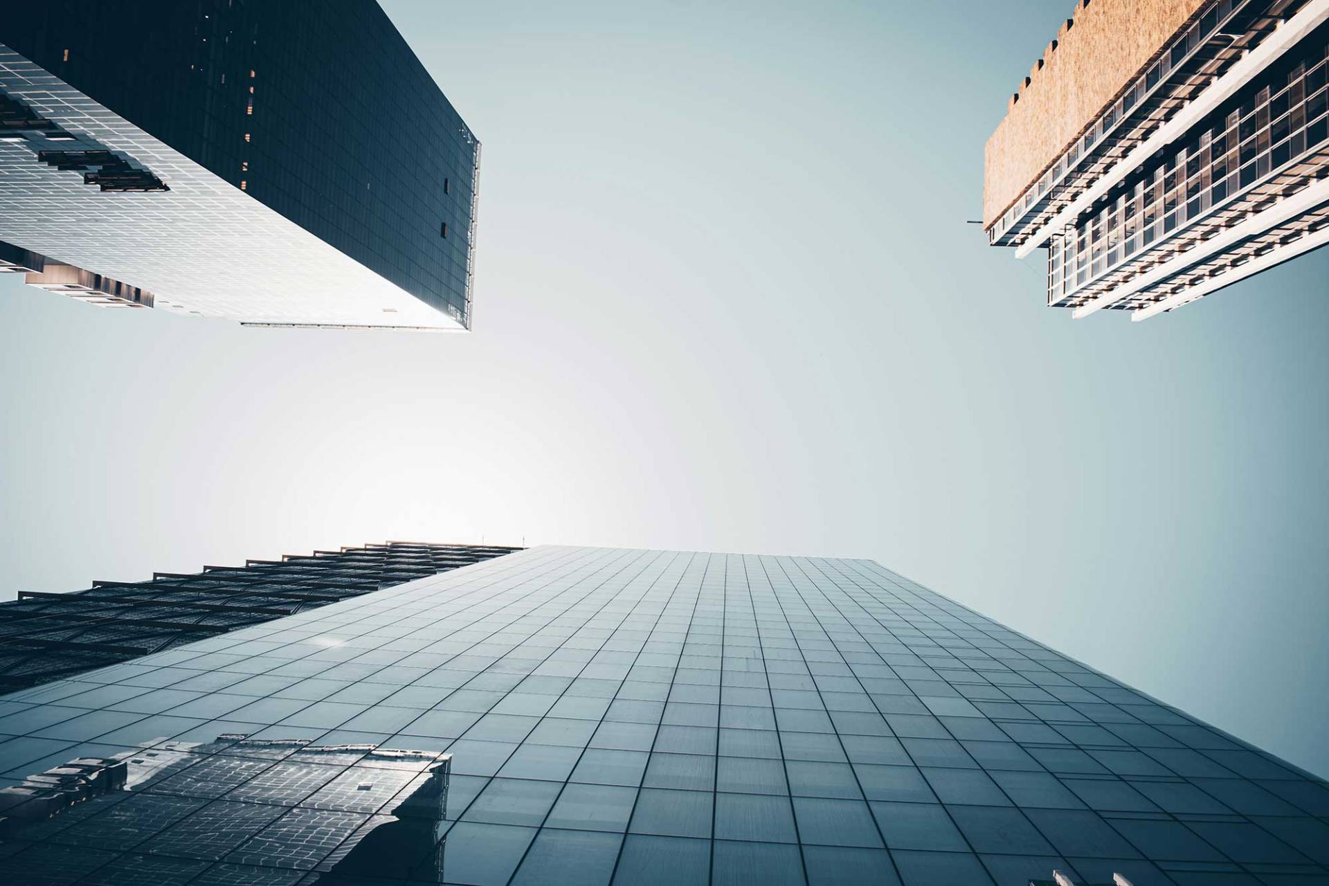 gestion de negocios